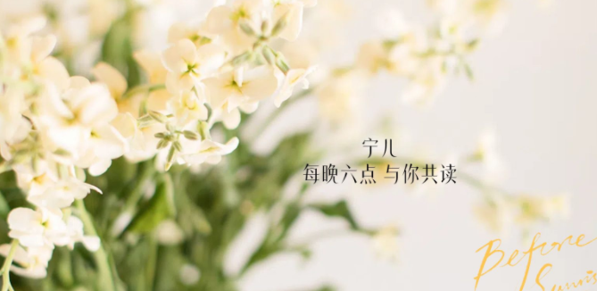 外贸全流程与公司优势解析