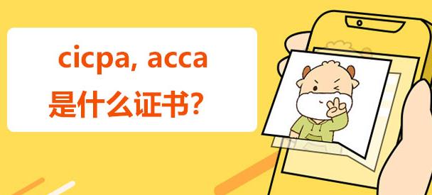 外贸b2b和b2c哪个更有前景（未来哪个