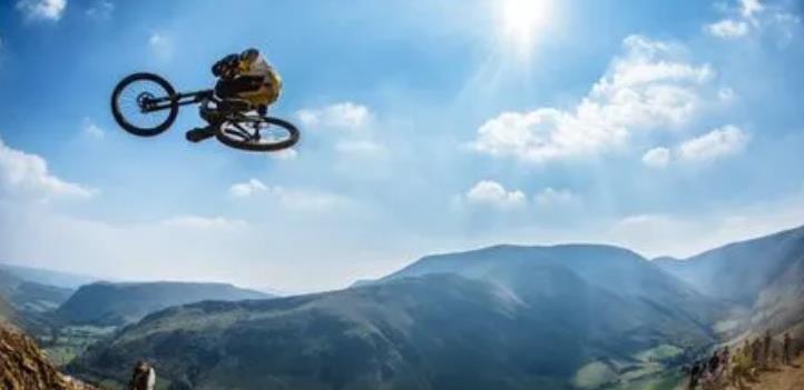 hardline是什么产品（一文详解Ha