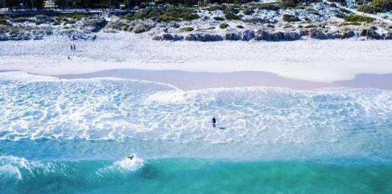 海外购物app排行（海淘软件大全）