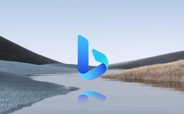 电商bsr是什么意思（亚马逊BSR跟自然