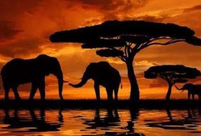 英国银行有哪些（英国十大银行汇总）