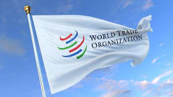 走货柜是什幺意思（国际海运干货知识分享）