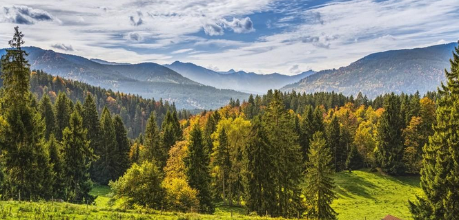 海关缴款书滞留怎么处理？稽核比对异常的海